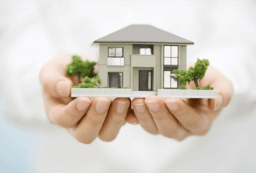 Property reports