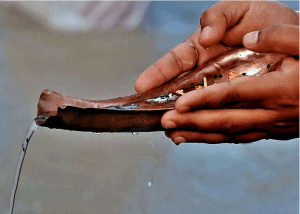 iss pitra paksha 15 divasiye shakti samay mein gaya mein arpit karein nitya tarpan, pitron ke aashirvaad se badlegi kismat