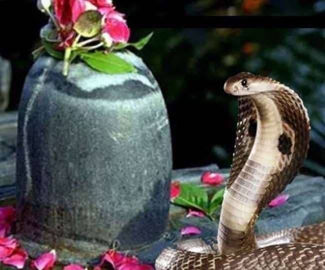 नाग पंचमी : काल सर्प दोष दूर करने का उत्तम दिन, घर बैठे कराएं पूजा नागवासुकि मंदिर, प्रयागराज  - 13 अगस्त 2021