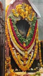Nag Panchami is the only best day to attain happiness and prosperity in the family, do the puja sitting at home Nagvasuki Temple, Prayagraj