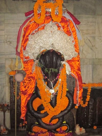 Horoscope Obstacle Removal Puja Naag Vasuki Temple, Prayagraj