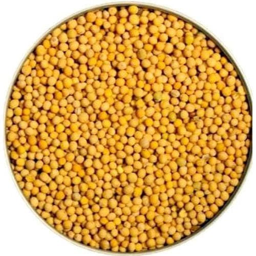 Vaastu Remedies 2022: Become wealthy by using these yellow mustard remedies