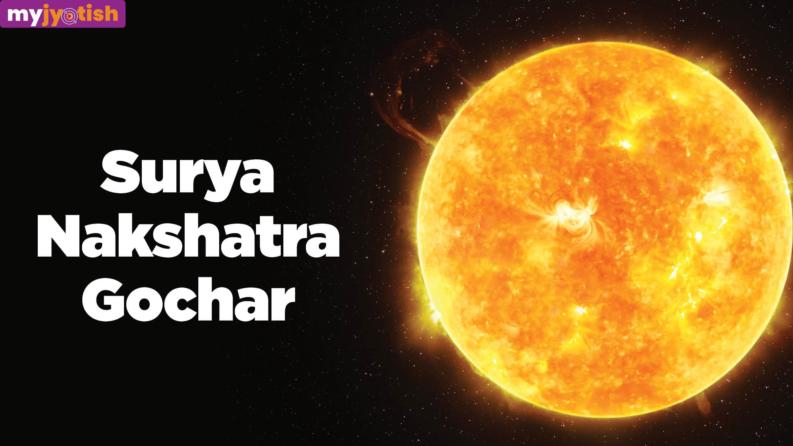 Surya Nakshatra Transit 2026: Sun Transit In Bharani Nakshatra Will Benefit These Zodiac Signs | Check Here