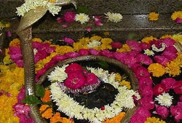 ek maah tak lagatar krayein panchamrit se shiv ka samuhik rudrabhishek omkareshwar jyotirling