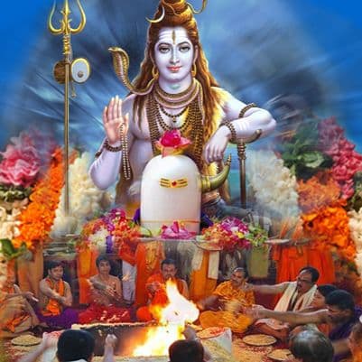 maha shivratri mustard oil abhishek debt removal win in litigations enemy destruction